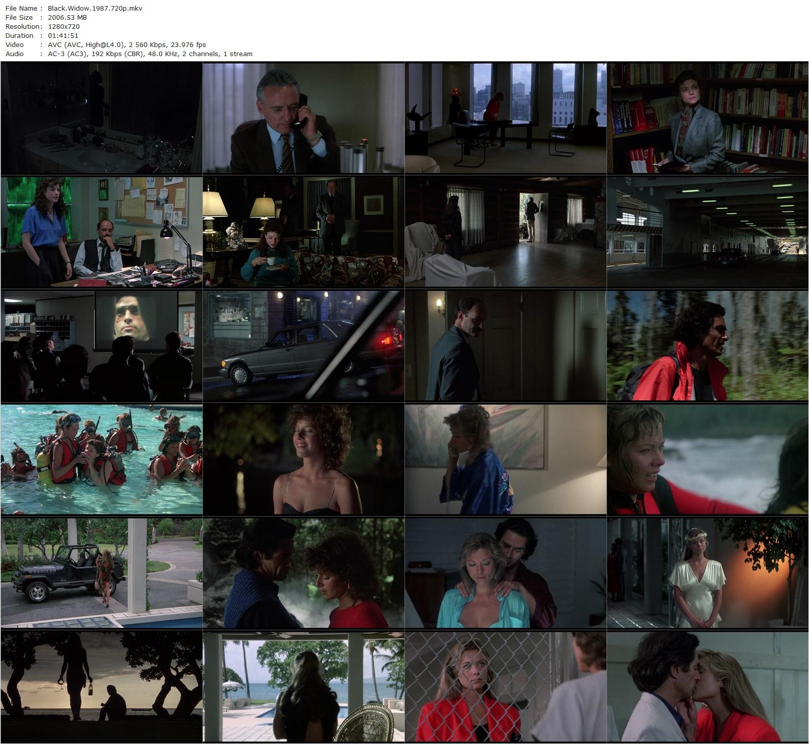 Black Widow (1987) Bob Rafelson, Debra Winger, Theresa Russell, Sami Frey-poster