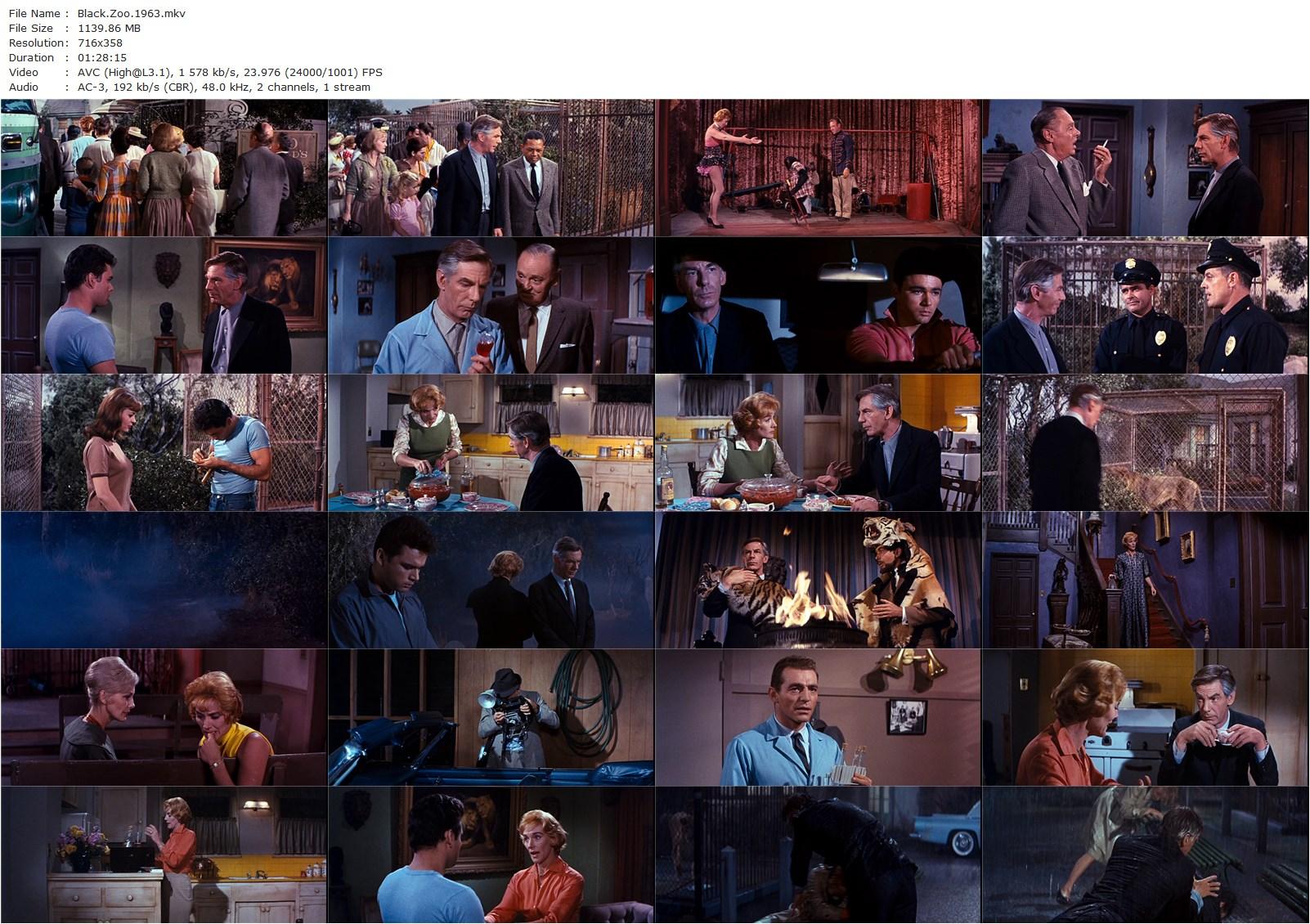 Black Zoo (1963) Robert Gordon, Michael Gough, Jeanne Cooper, Rod Lauren-poster