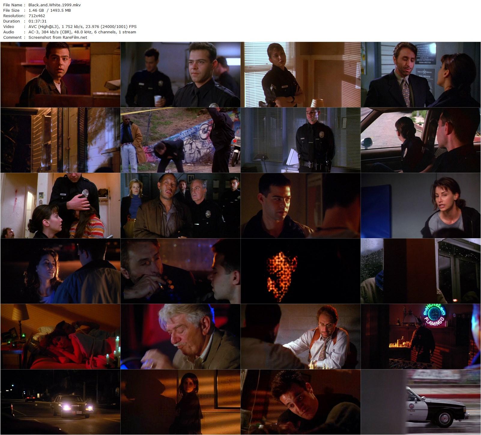 Black and White (1999) Yuri Zeltser, Gina Gershon, Rory Cochrane, Ron Silver-poster