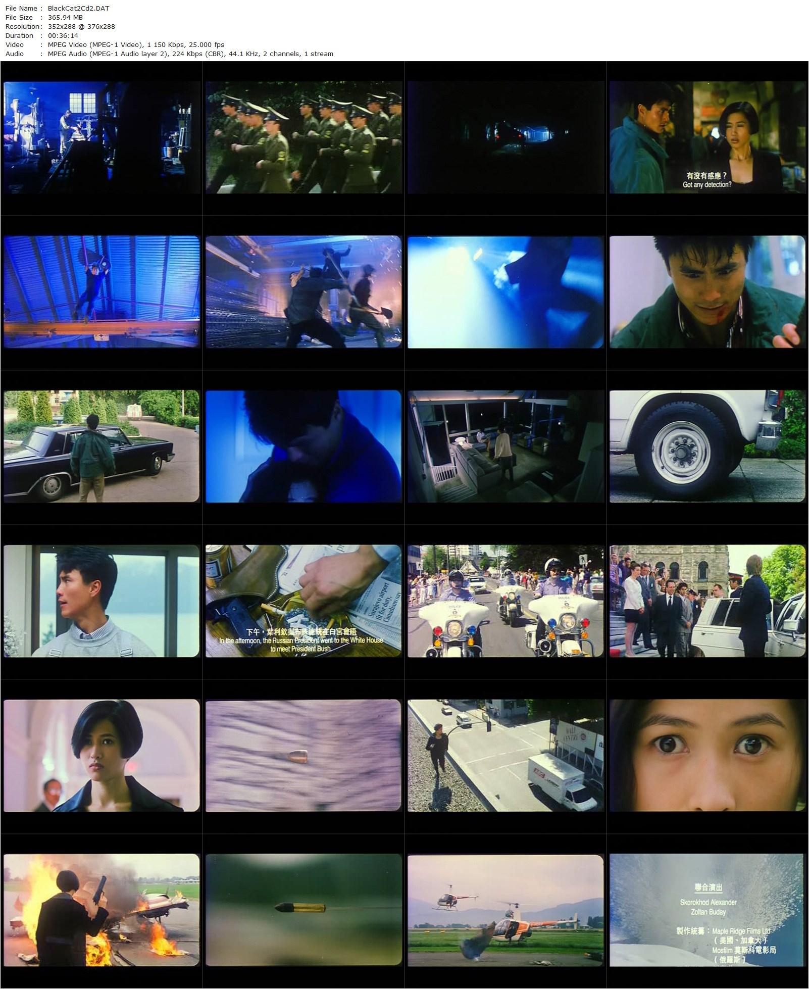 Black Cat 2 (1992) Stephen Shin, Jade Leung, Robin Shou, Zoltan Buday-poster