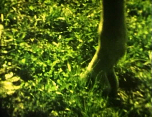 Marc Hurtado - Blanche (1995)-poster