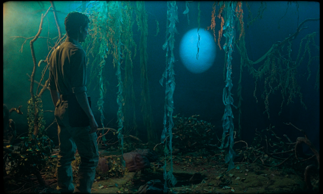 Blank Narcissus (Passion of the Swamp) (2022) by Peter Strickland-poster