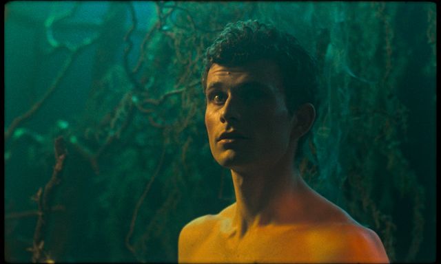 Blank Narcissus (Passion of the Swamp) (2022) by Peter Strickland-poster