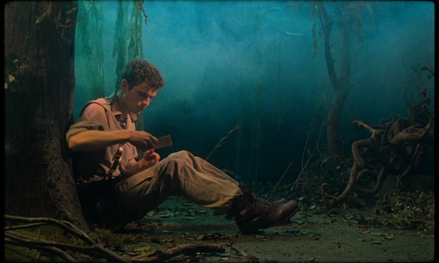 Blank Narcissus (Passion of the Swamp) (2022) by Peter Strickland-poster