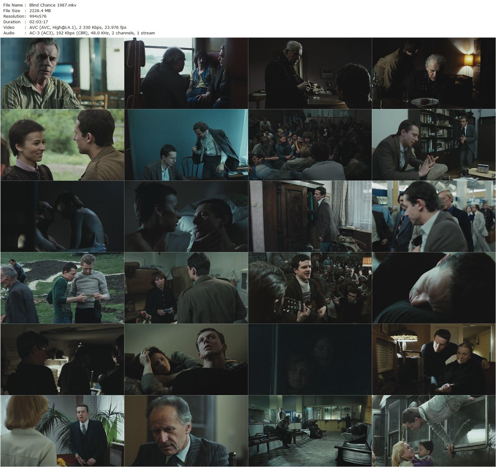 Blind Chance (1987) Krzysztof Kieslowski, Boguslaw Linda, Tadeusz Lomnicki, Zbigniew Zapasiewicz-poster