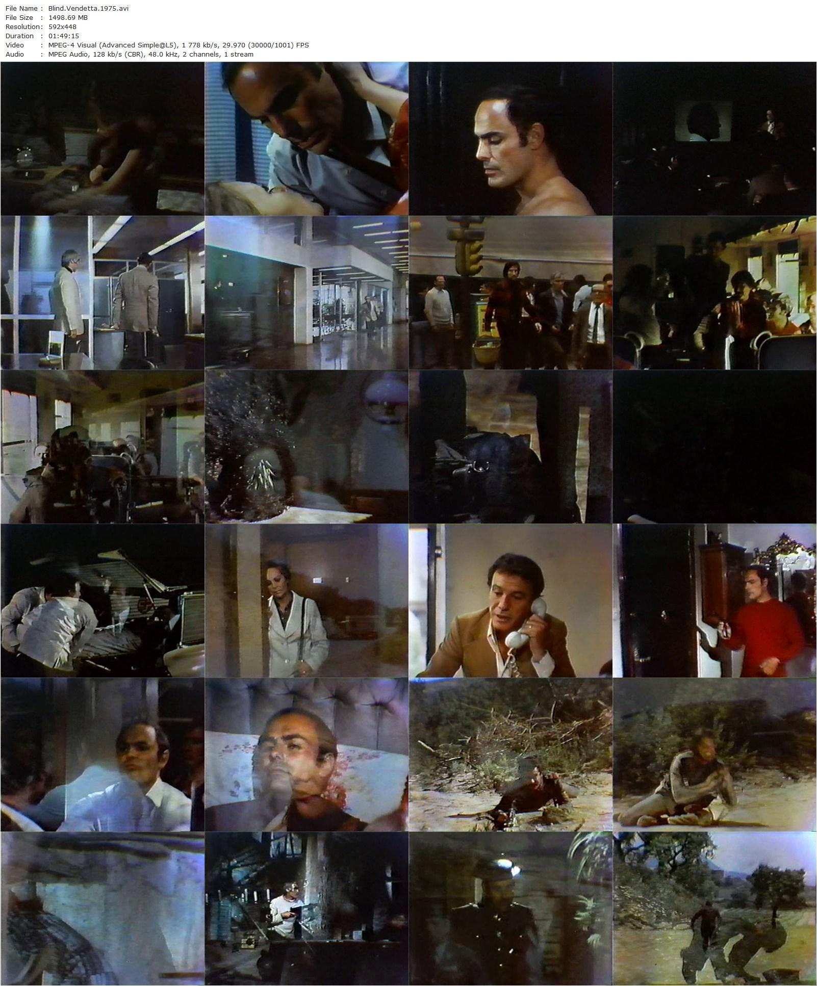 Blind Vendetta AKA Metralleta ‘Stein’ (1975) José Antonio de la Loma, John Saxon, Francisco Rabal, Blanca Estrada-poster