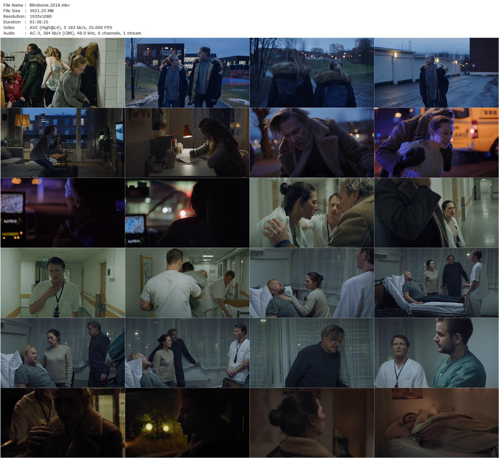 Blind Spot AKA Blindsone (2018) Tuva Novotny, Pia Tjelta, Anders Baasmo Christiansen, Per Frisch-poster