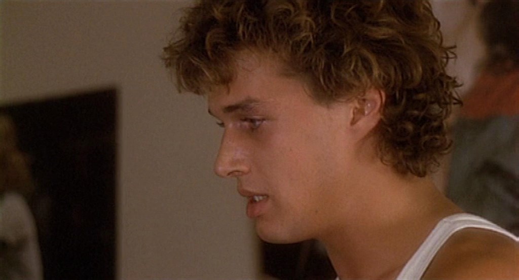 Blood Relatives (1978) Claude Chabrol, Donald Sutherland, Aude Landry, Lisa Langlois, Crime, Drama, Mystery, Thriller-poster