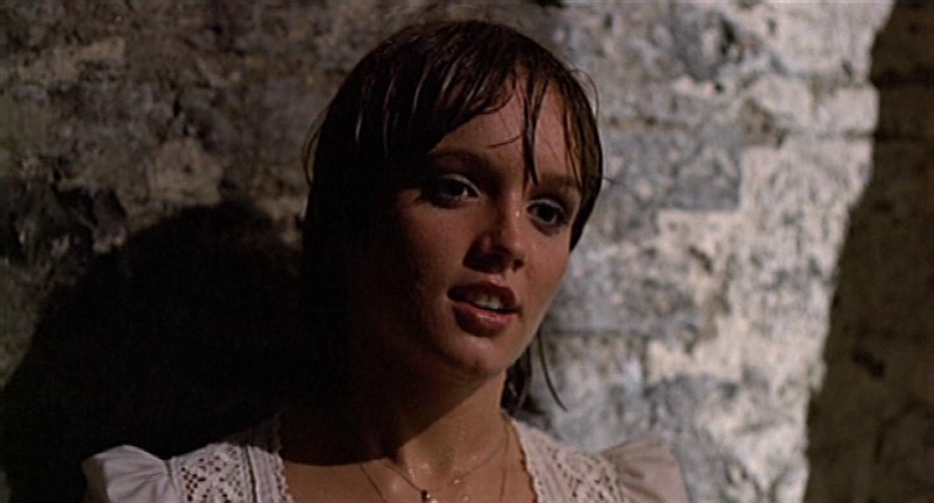 Blood Relatives (1978) Claude Chabrol, Donald Sutherland, Aude Landry, Lisa Langlois, Crime, Drama, Mystery, Thriller-poster