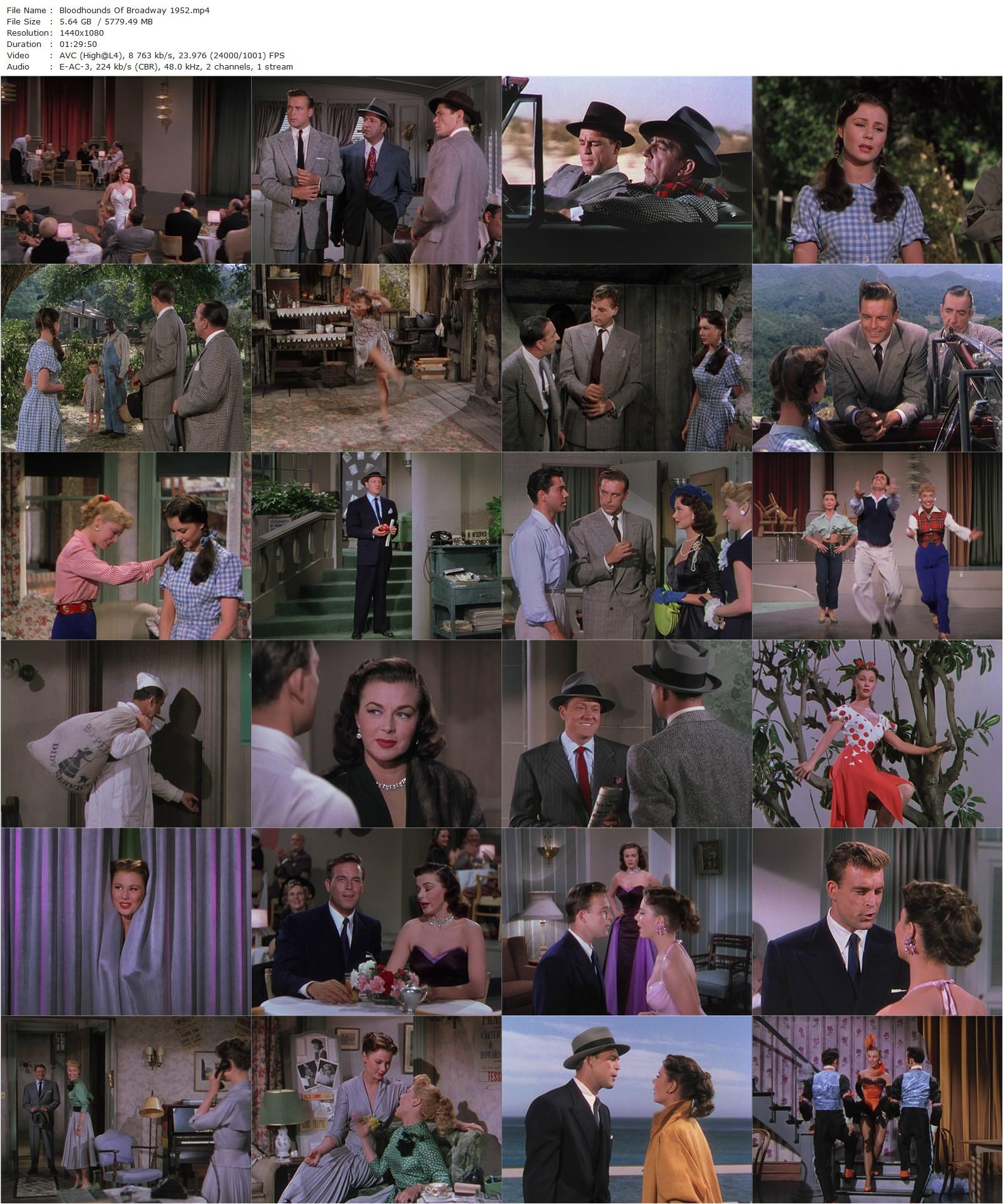 Bloodhounds of Broadway (1952) Harmon Jones, Mitzi Gaynor, Scott Brady, Mitzi Green-poster