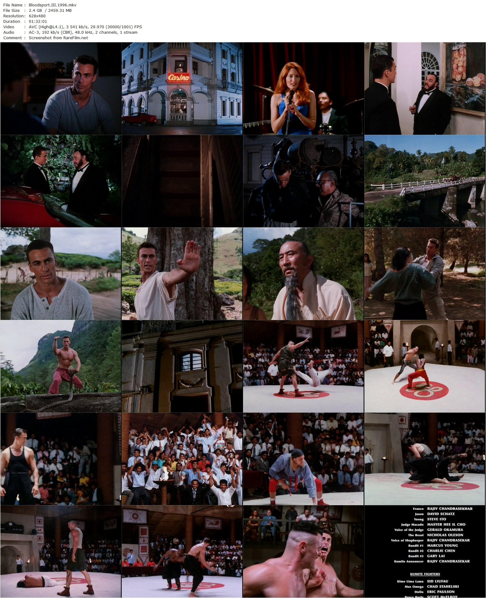 Bloodsport III (1996) Alan Mehrez-poster