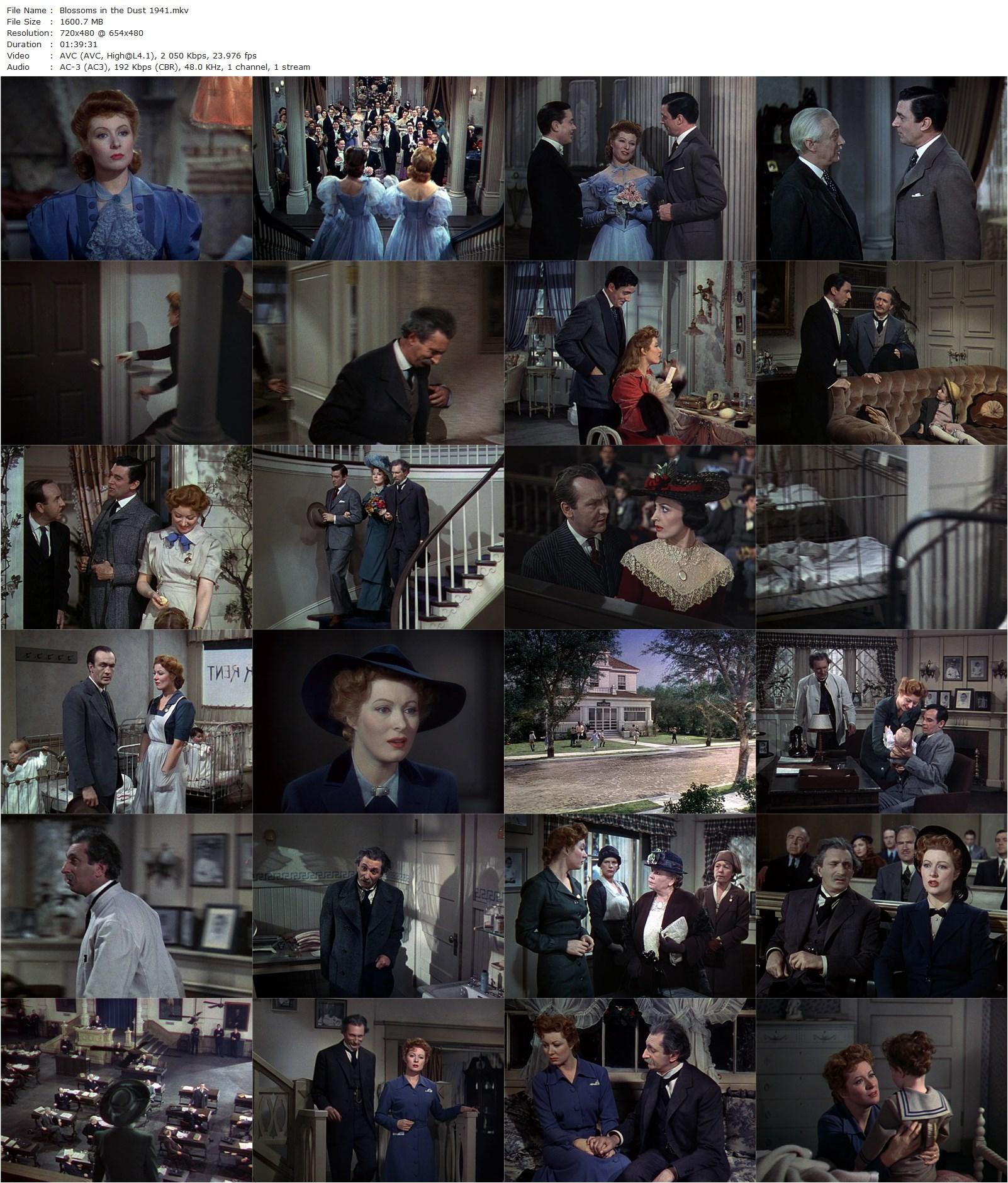 Blossoms in the Dust (1941) Mervyn LeRoy, Greer Garson, Walter Pidgeon, Felix Bressart-poster