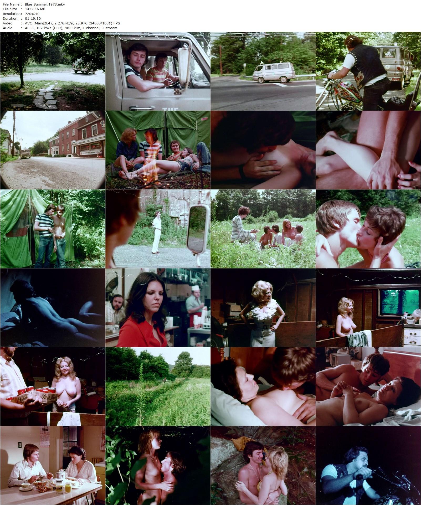 Blue Summer (1973) Chuck Vincent, Davey Jones, Bo White, Lilly Bi Peep-poster