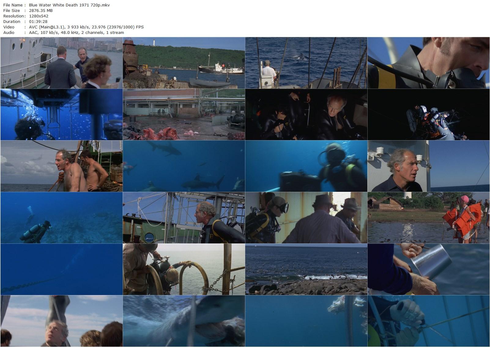 Blue Water, White Death (1971) Peter Gimbel, James Lipscomb, Tom Chapin, Phil Clarkson, Stuart Cody-poster