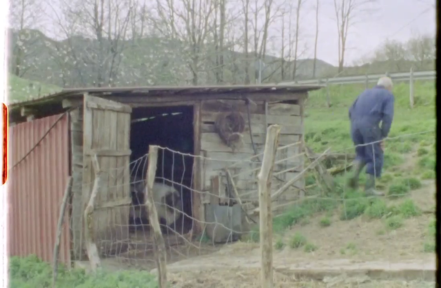 Bobinas ovinas 1-7 (2018)-poster