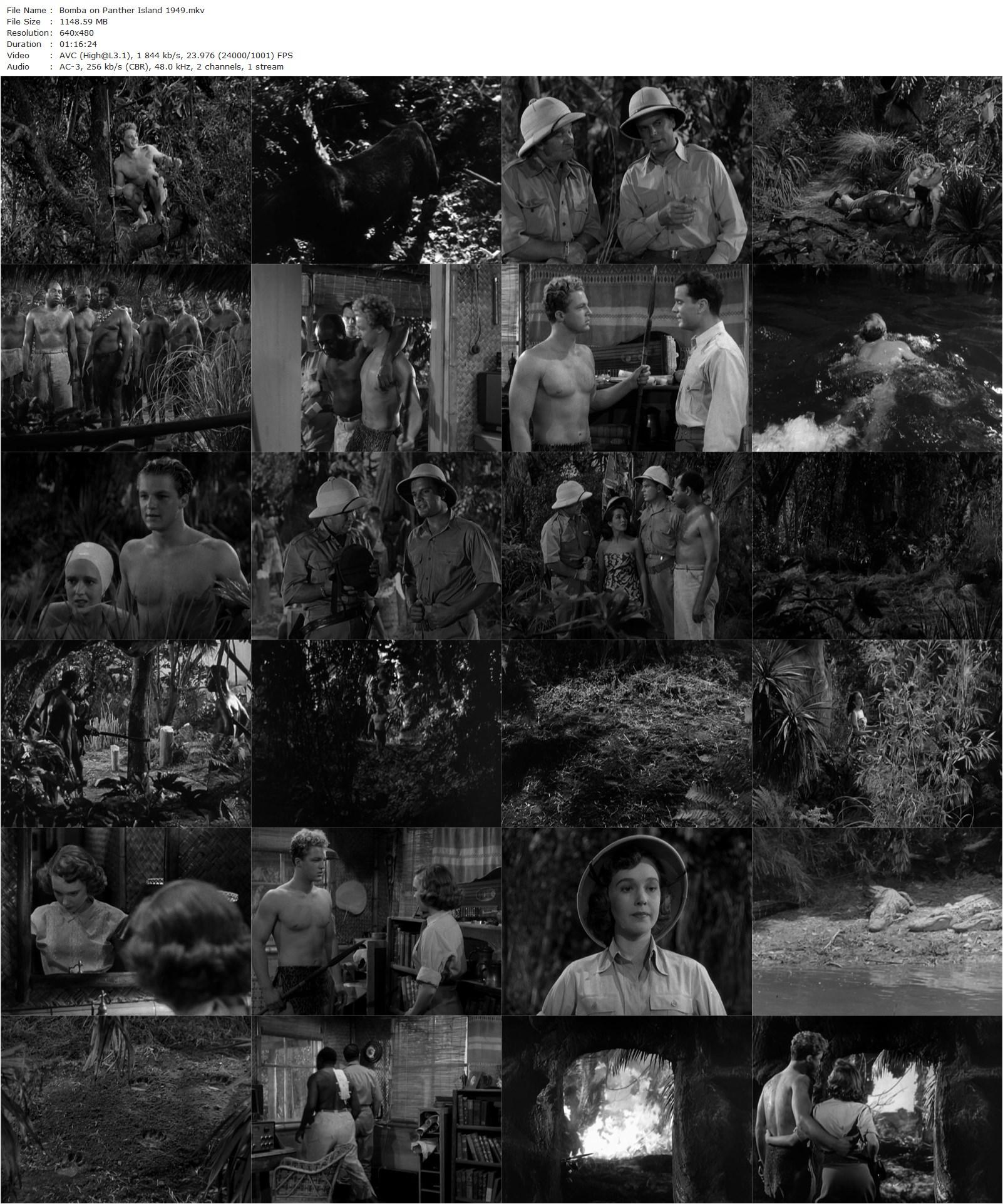 Bomba on Panther Island (1949) Ford Beebe, Johnny Sheffield, Allene Roberts, Lita Baron-poster