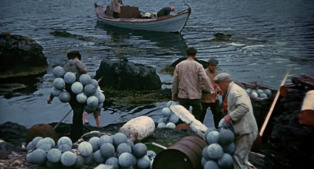 Börn náttúrunnar (1991)-poster