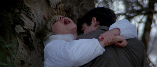 Botas negras, látigo de cuero (1983)-poster