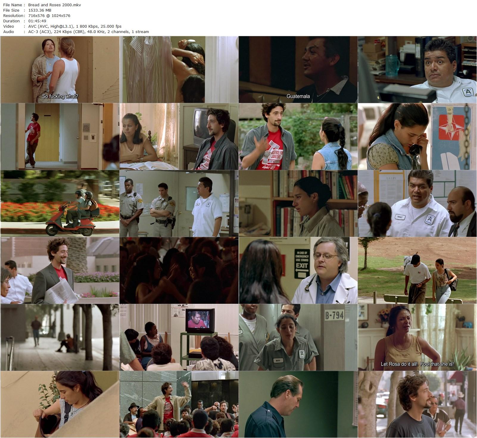 Bread and Roses (2000) Ken Loach, Pilar Padilla, Adrien Brody, Elpidia Carrillo-poster