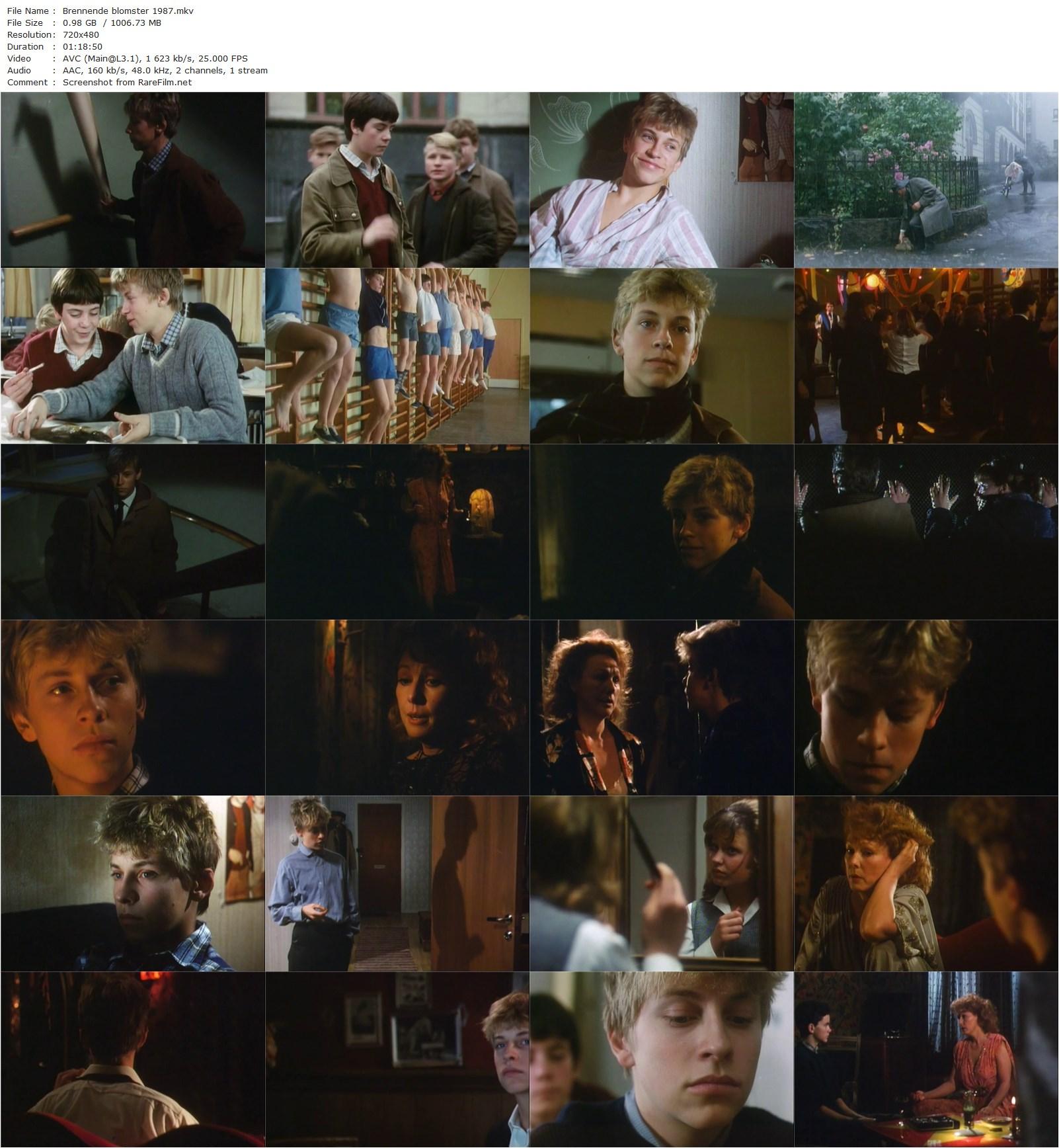 Burning Flowers / Brennende blomster (1985) Eva Dahr, Eva Isaksen, Torstein Hølmebakk, Lise Fjeldstad, Karoline Waal-poster