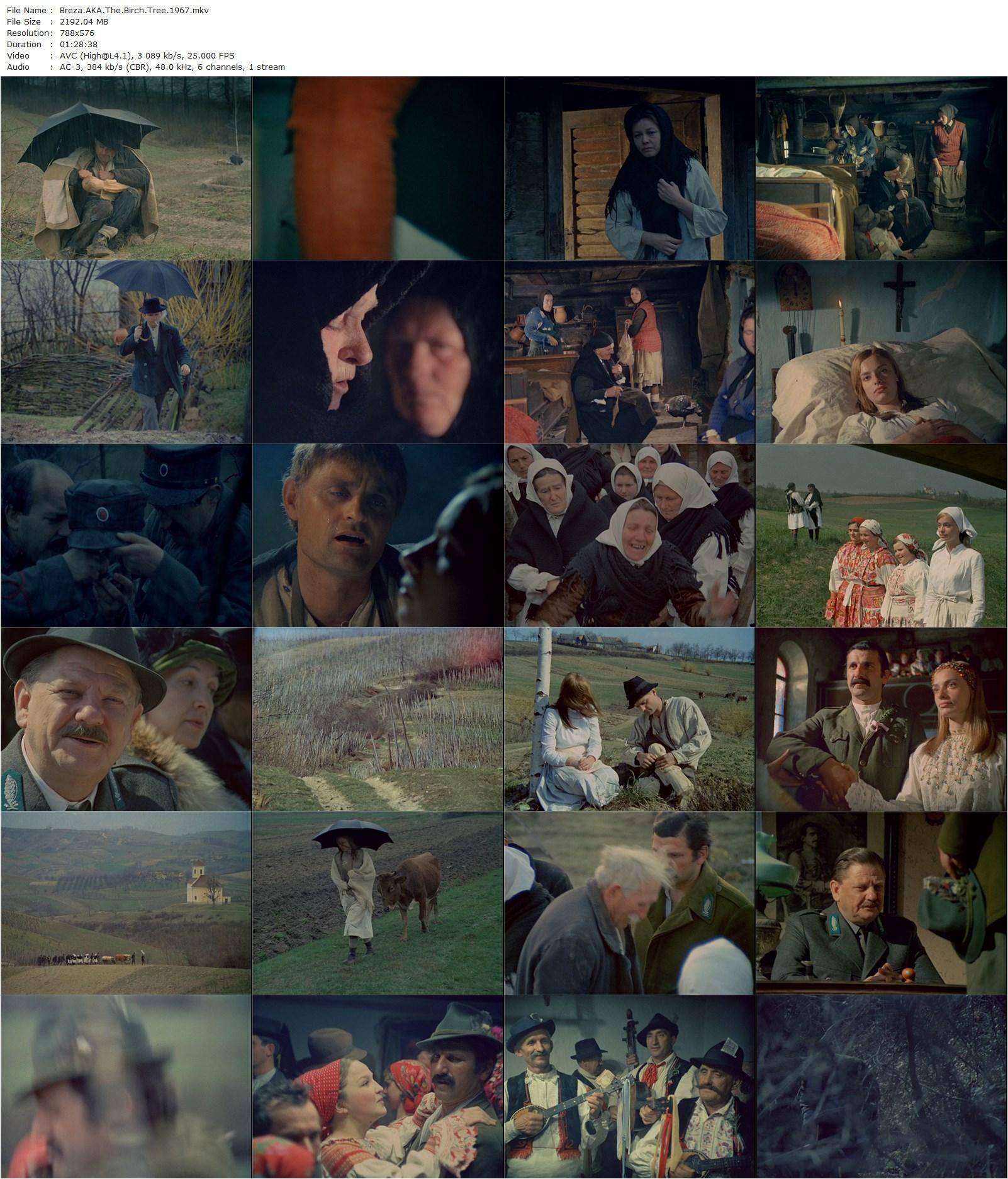 The Birch Tree AKA Breza (1967) Ante Babaja, Manca Kosir, Velimir ‘Bata’ Zivojinovic, Fabijan Sovagovic-poster