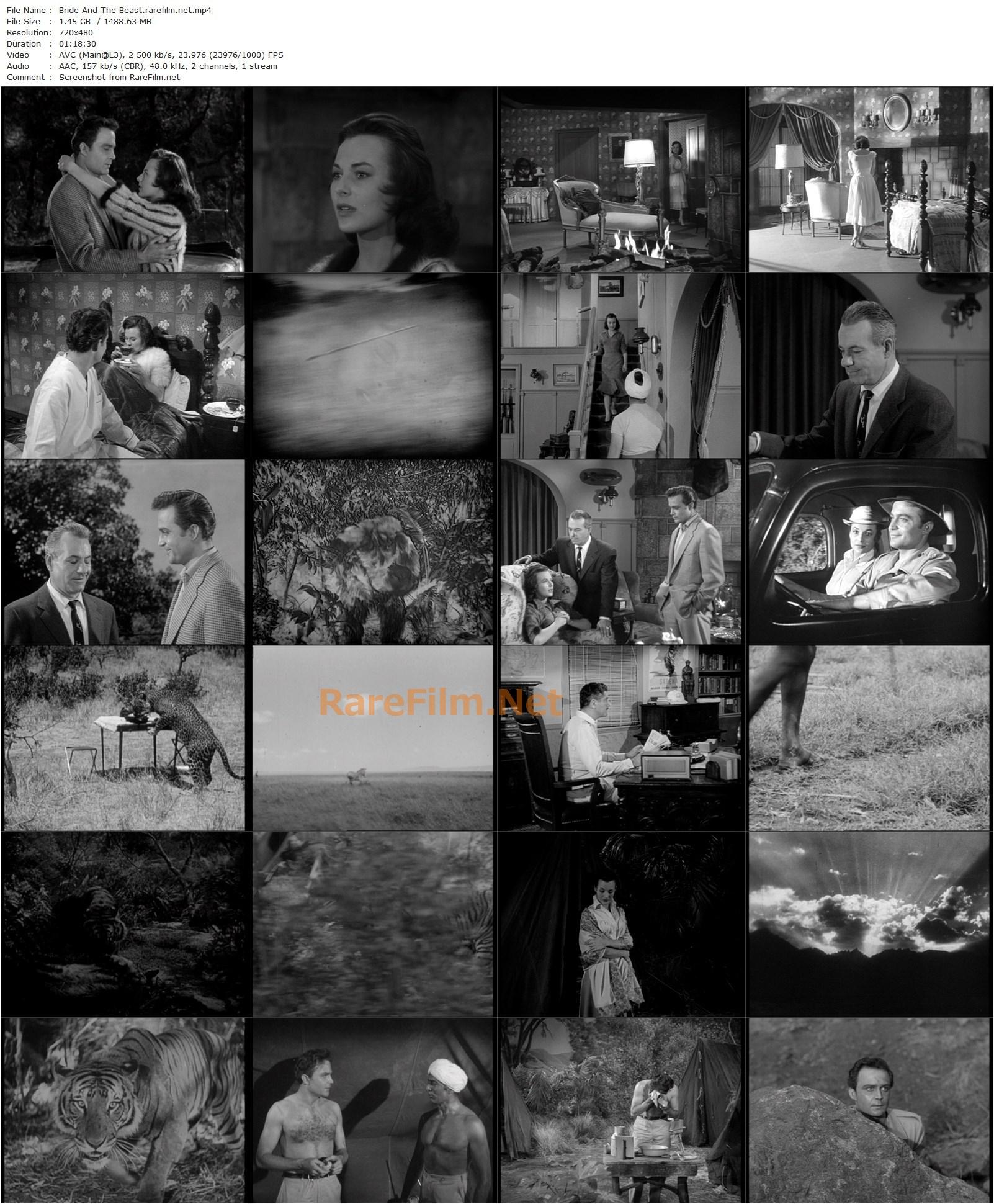 The Bride and the Beast (1958) Adrian Weiss, Charlotte Austin, Lance Fuller, Johnny Roth-poster