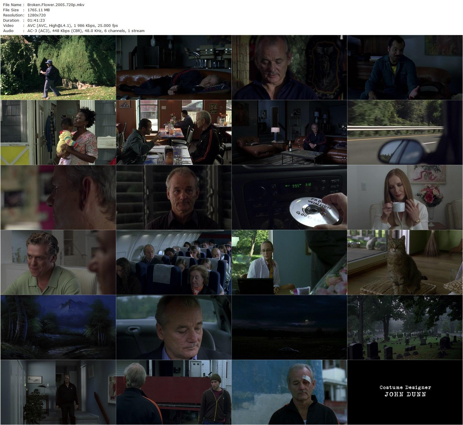 Broken Flowers (2005) Jim Jarmusch, Bill Murray, Jessica Lange, Sharon Stone-poster