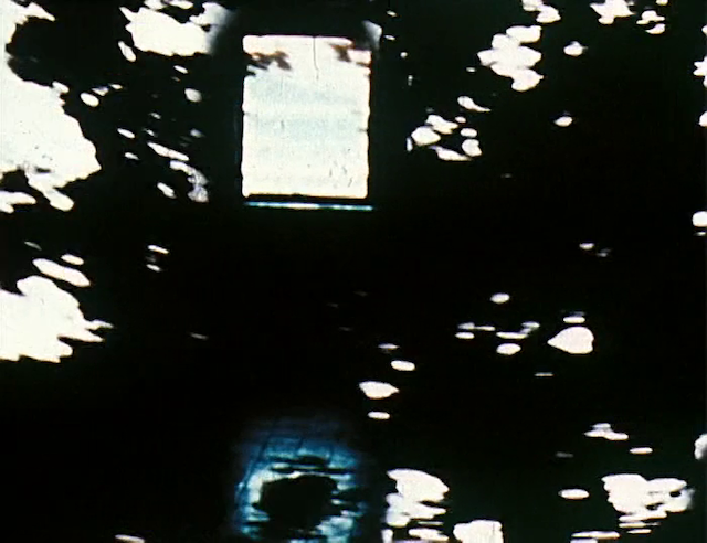 Bruine Squamma (1977) by Claudine Eizykman-poster