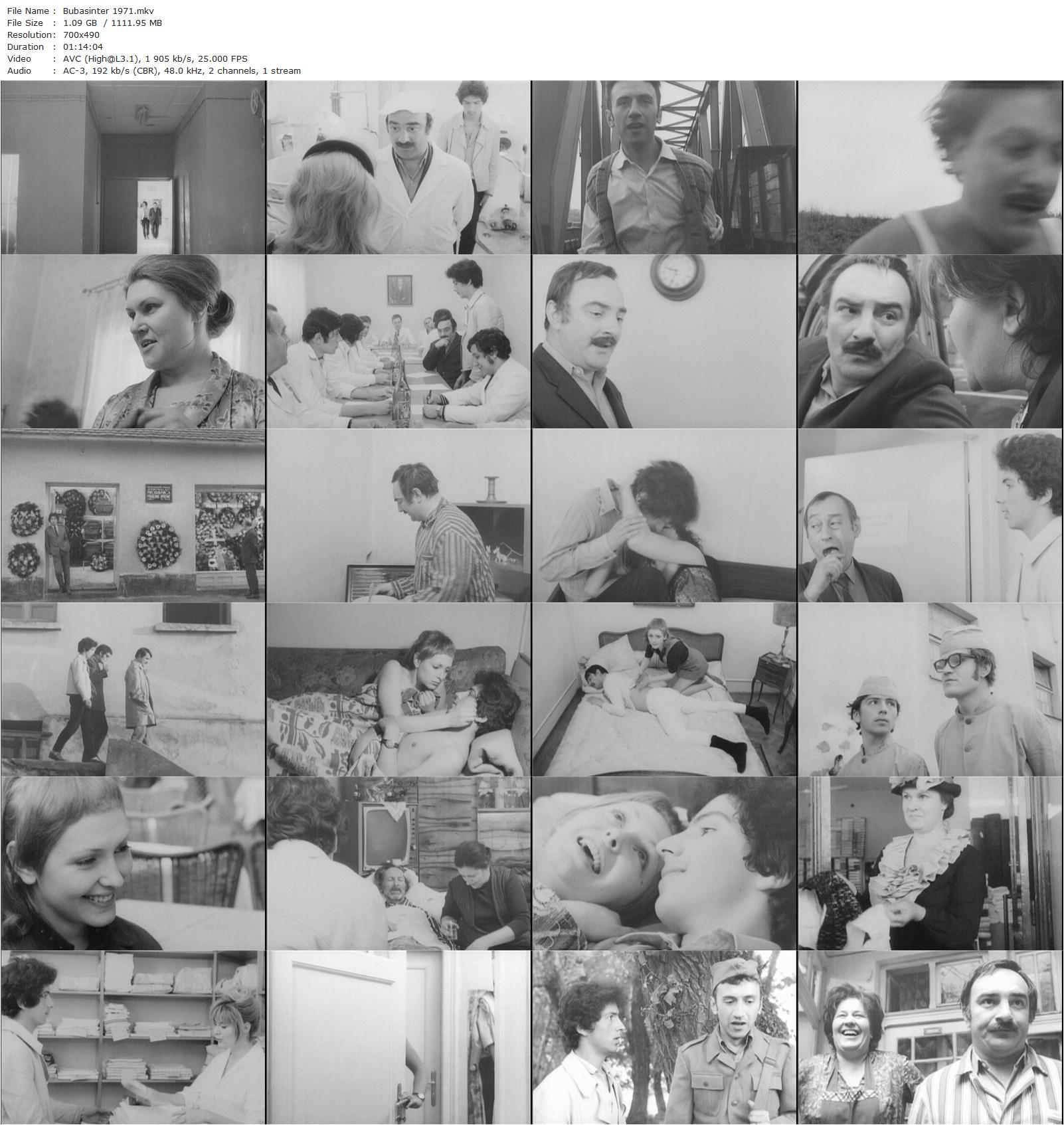 The Bug Killer AKA Bubasinter (1971) Milan Jelic, Zarko Bajic, Gizela Vukovic, Danilo ‘Bata’ Stojkovic-poster