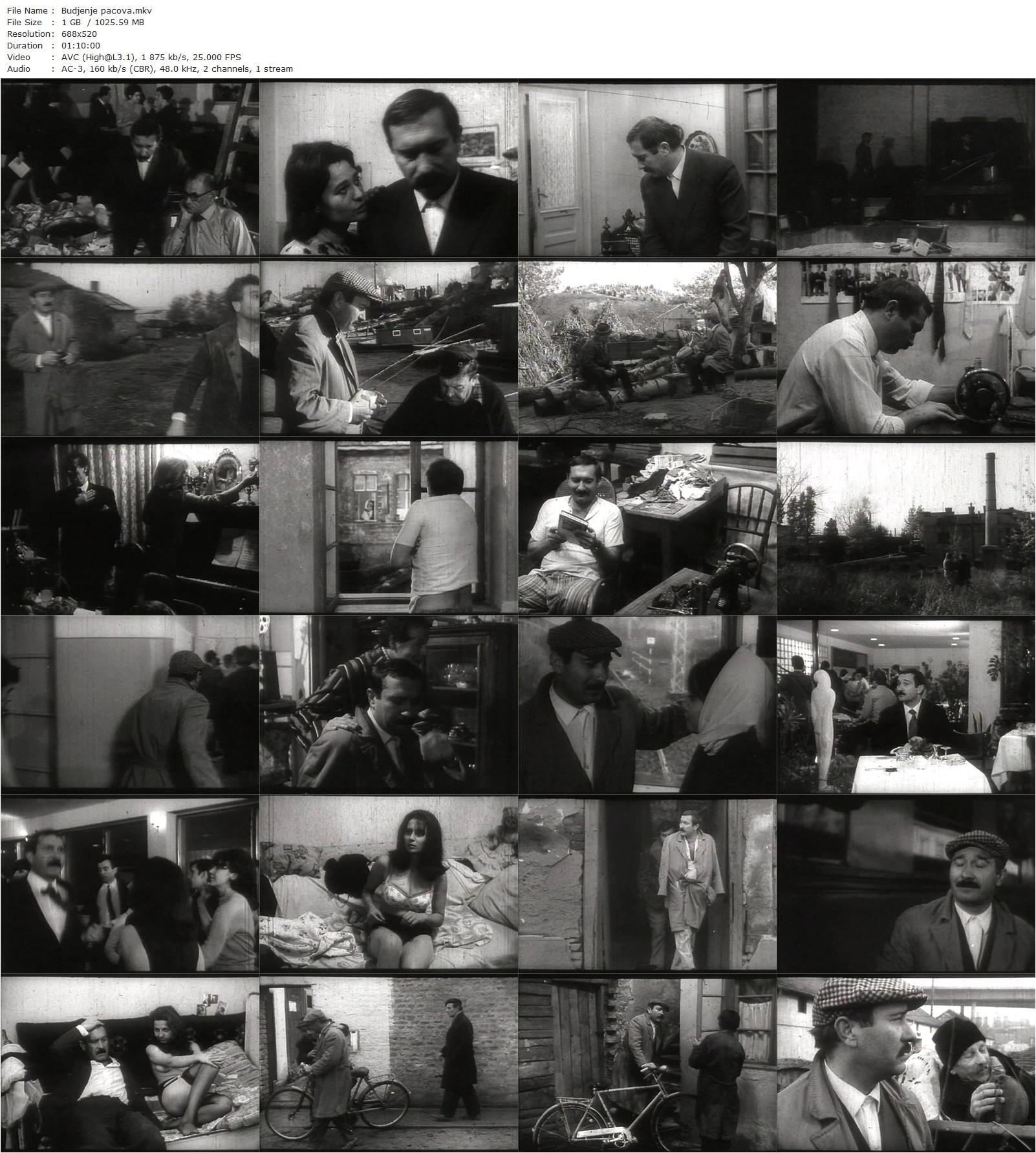 The Rats Woke Up AKA Budjenje pacova (1967) Zivojin Pavlovic, Slobodan ‘Cica’ Perovic, Dusica Zegarac, Severin Bijelic-poster