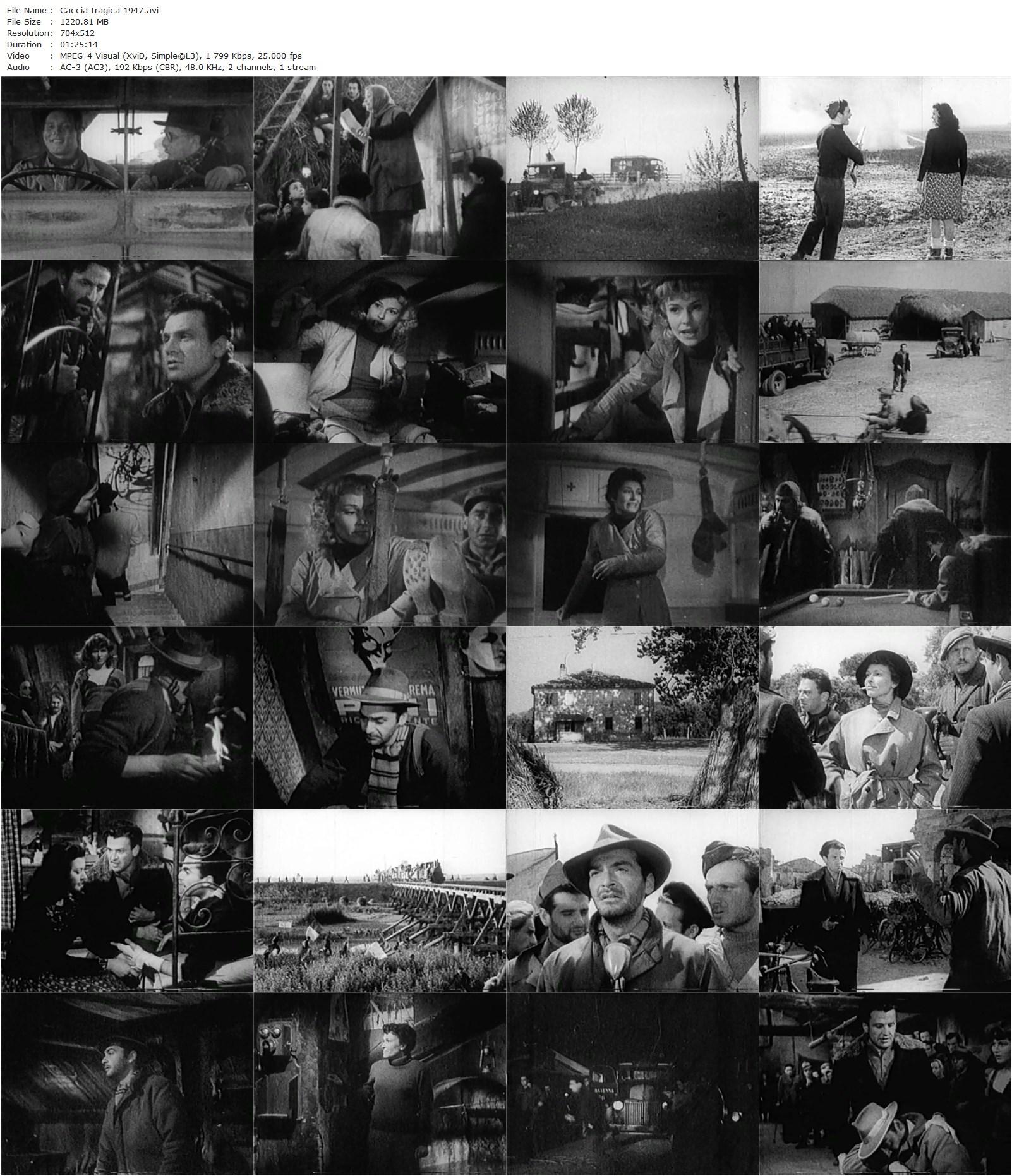 Tragic Hunt (1947) Giuseppe De Santis, Vivi Gioi-poster