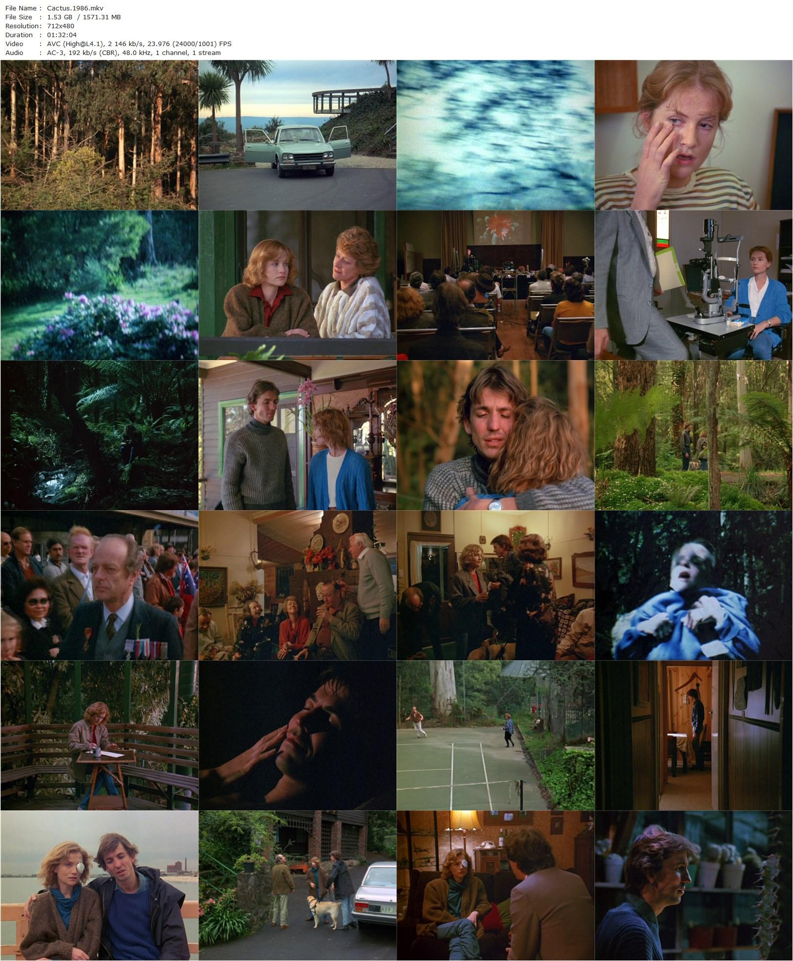 Cactus (1986) Paul Cox, Isabelle Huppert, Robert Menzies, Norman Kaye-poster