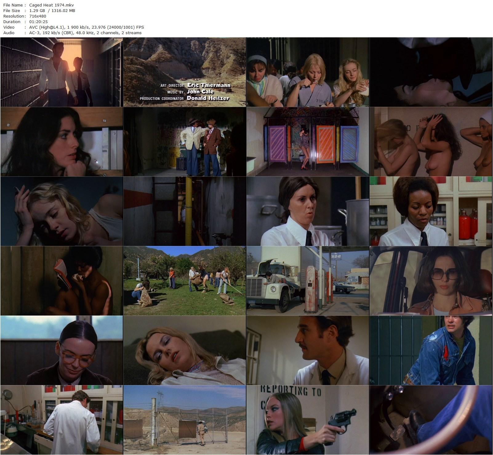 Caged Heat (1974) Jonathan Demme, Juanita Brown, Roberta Collins, Erica Gavin, Ella Reid-poster