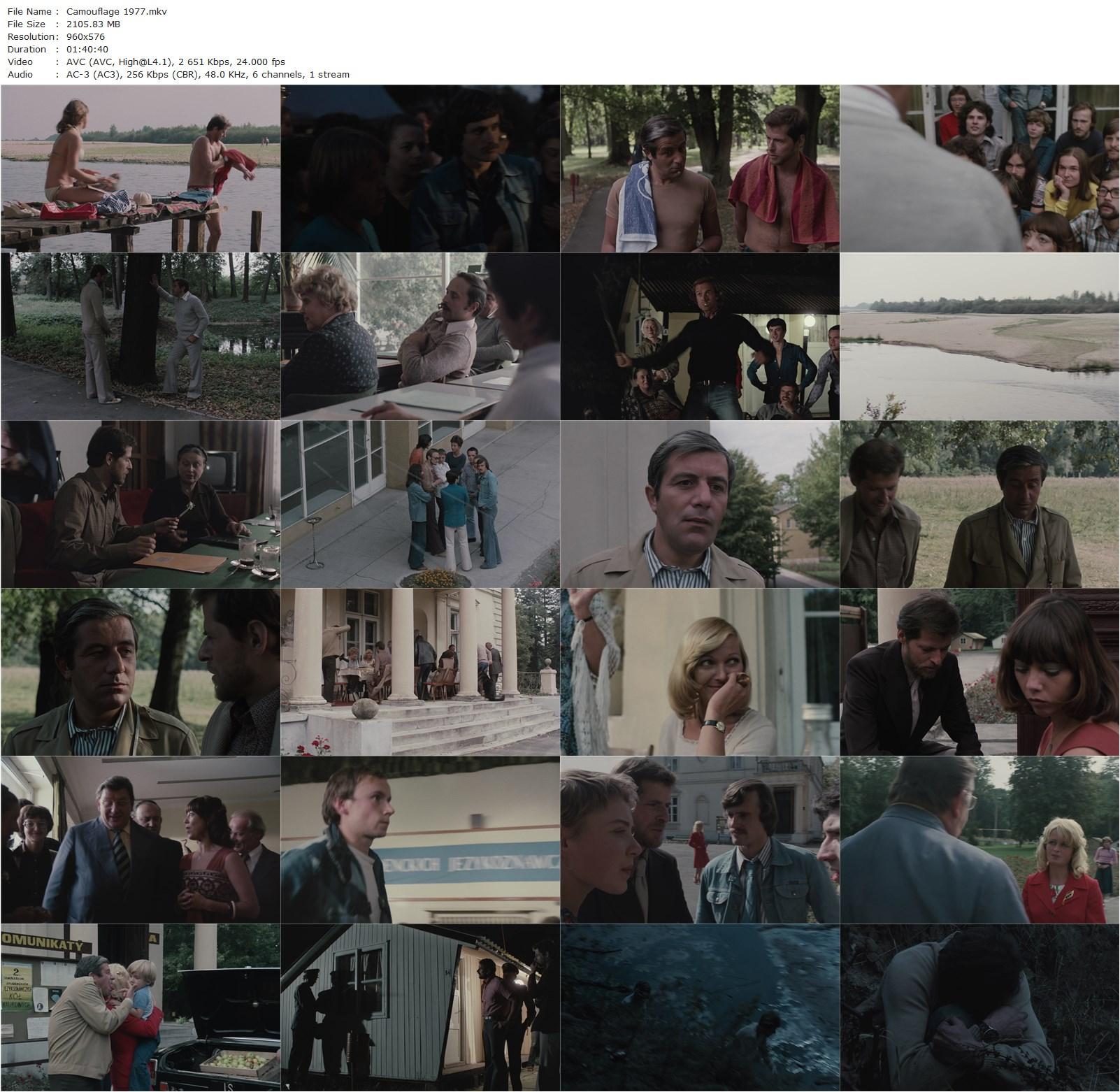 Camouflage (1977) Krzysztof Zanussi, Piotr Garlicki, Zbigniew Zapasiewicz, Christine Paul-Podlasky-poster