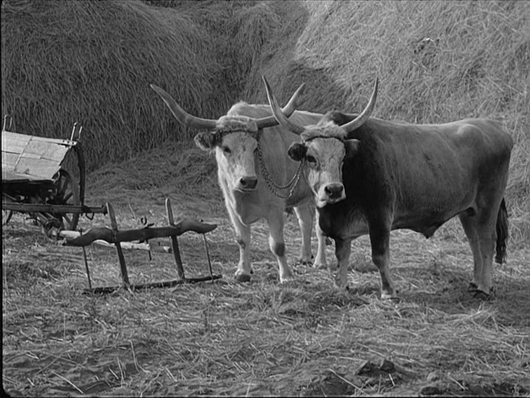 Cantata (1963) Miklós Jancsó, Zoltán Latinovits, Andor Ajtay, Béla Barsi-poster