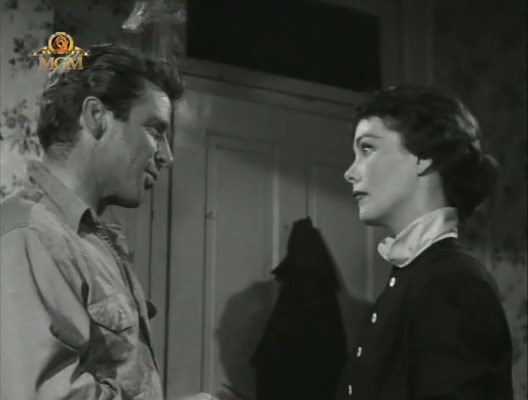 Canyon Crossroads (1955) Alfred L. Werker, Richard Basehart, Phyllis Kirk, Stephen Elliott-poster