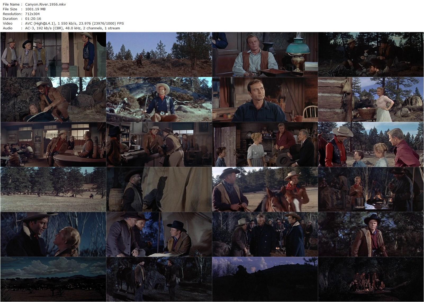 Canyon River (1956) Harmon Jones, George Montgomery, Marcia Henderson, Peter Graves-poster