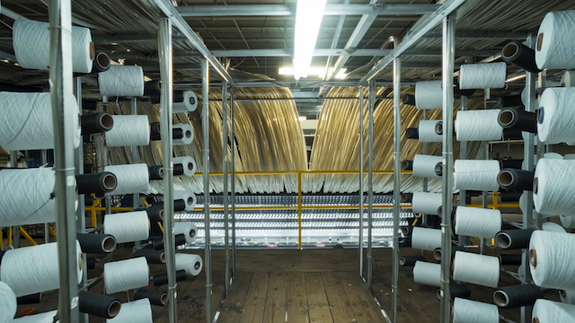 Carpet Cowboys (2023) | Worldscinema | Download Free-poster