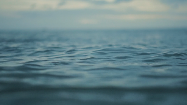 Carpet Cowboys (2023) | Worldscinema | Download Free-poster