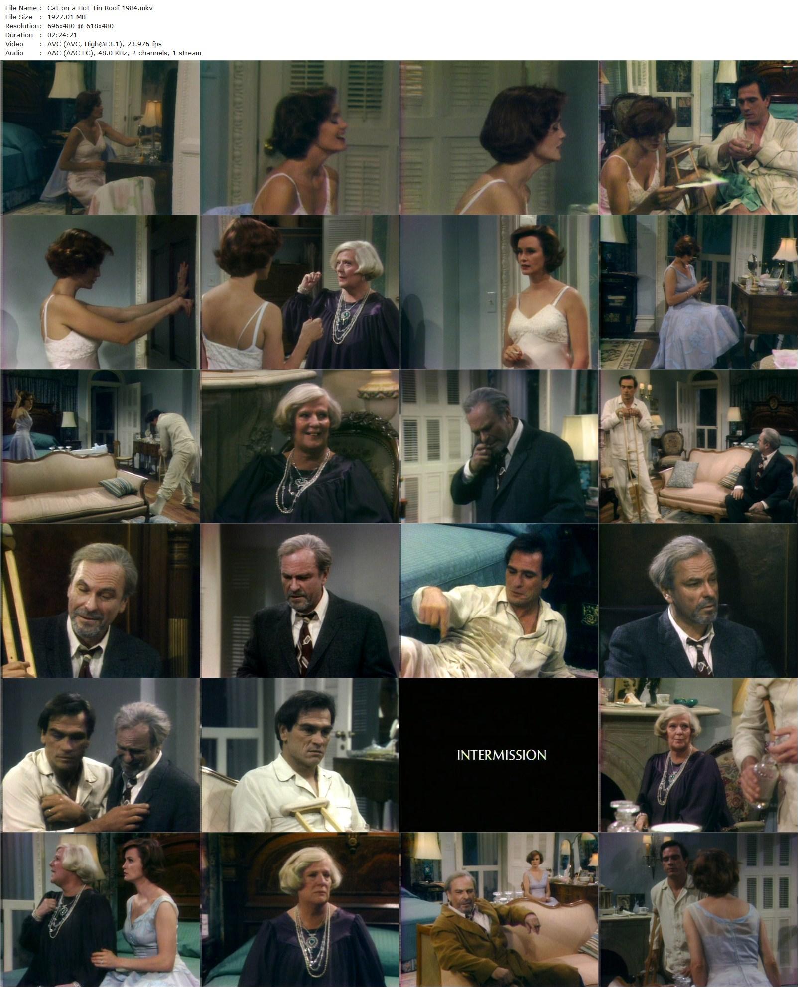 Cat on a Hot Tin Roof (1984) Jack Hofsiss, Jessica Lange, Tommy Lee Jones, Rip Torn-poster