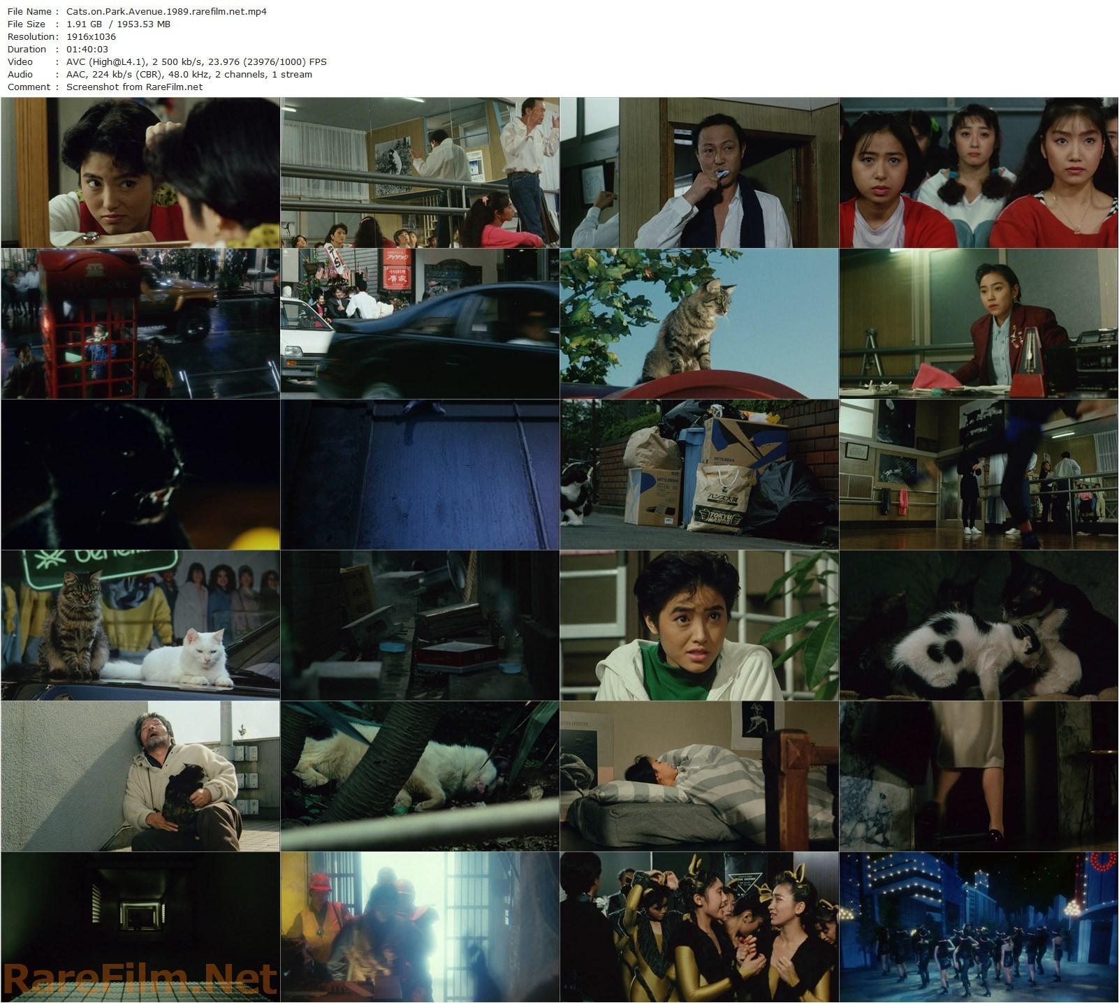 Cats on Park Avenue / Kôendôri no nekotachi (1989) Shin’ichi Nakada, Nekohachi Edoya, Ayumu Hasegawa, Izumi Igarashi-poster