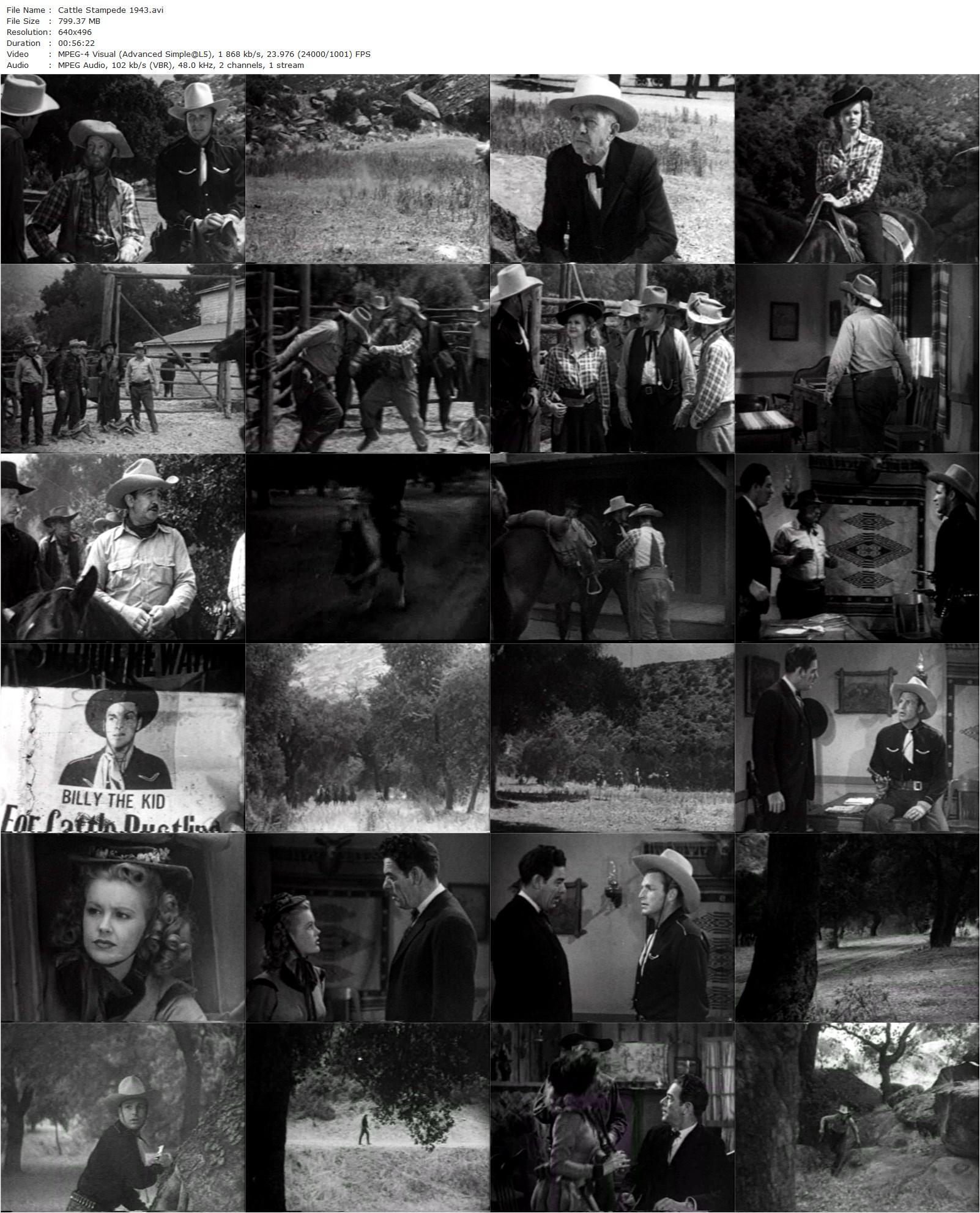 Cattle Stampede (1943) Sam Newfield, Buster Crabbe, Al St. John, Frances Gladwin-poster