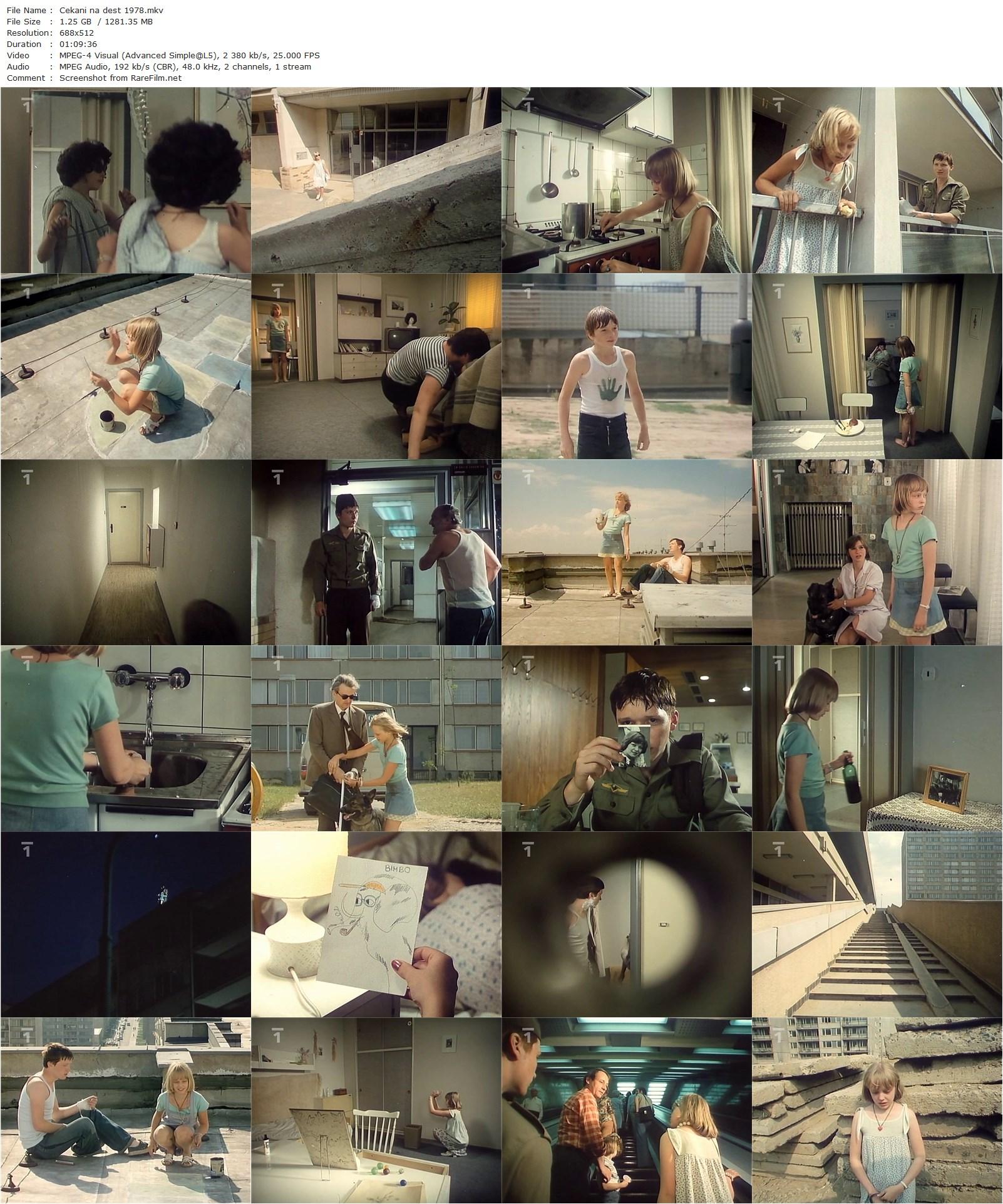 Waiting for the Rain / Cekání na dést (1978) Karel Kachyna, Jirí Bartoska, Michal Hofbauer, Monika Hálová-poster