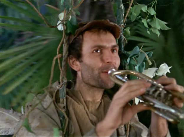 Celebration in the Botanical Garden / Slávnost v botanickej záhrade (1969) Elo Havetta, Slavoj Urban, Jirí Sýkora, Nina Divísková-poster