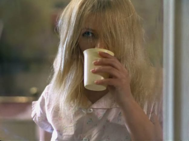 Celebration in the Botanical Garden / Slávnost v botanickej záhrade (1969) Elo Havetta, Slavoj Urban, Jirí Sýkora, Nina Divísková-poster