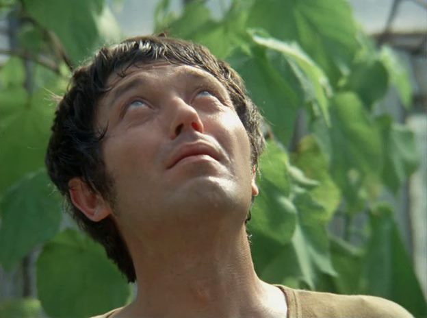 Celebration in the Botanical Garden / Slávnost v botanickej záhrade (1969) Elo Havetta, Slavoj Urban, Jirí Sýkora, Nina Divísková-poster