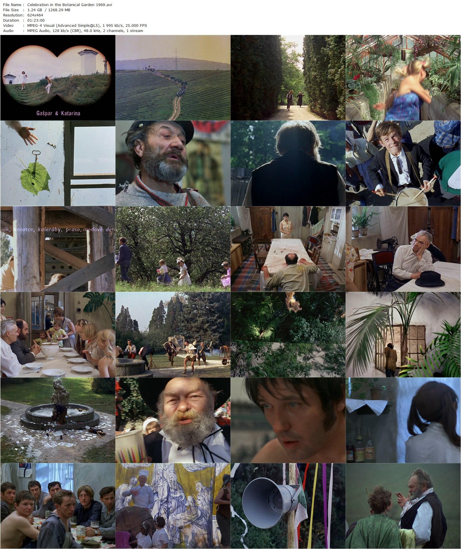 Celebration in the Botanical Garden / Slávnost v botanickej záhrade (1969) Elo Havetta, Slavoj Urban, Jirí Sýkora, Nina Divísková-poster