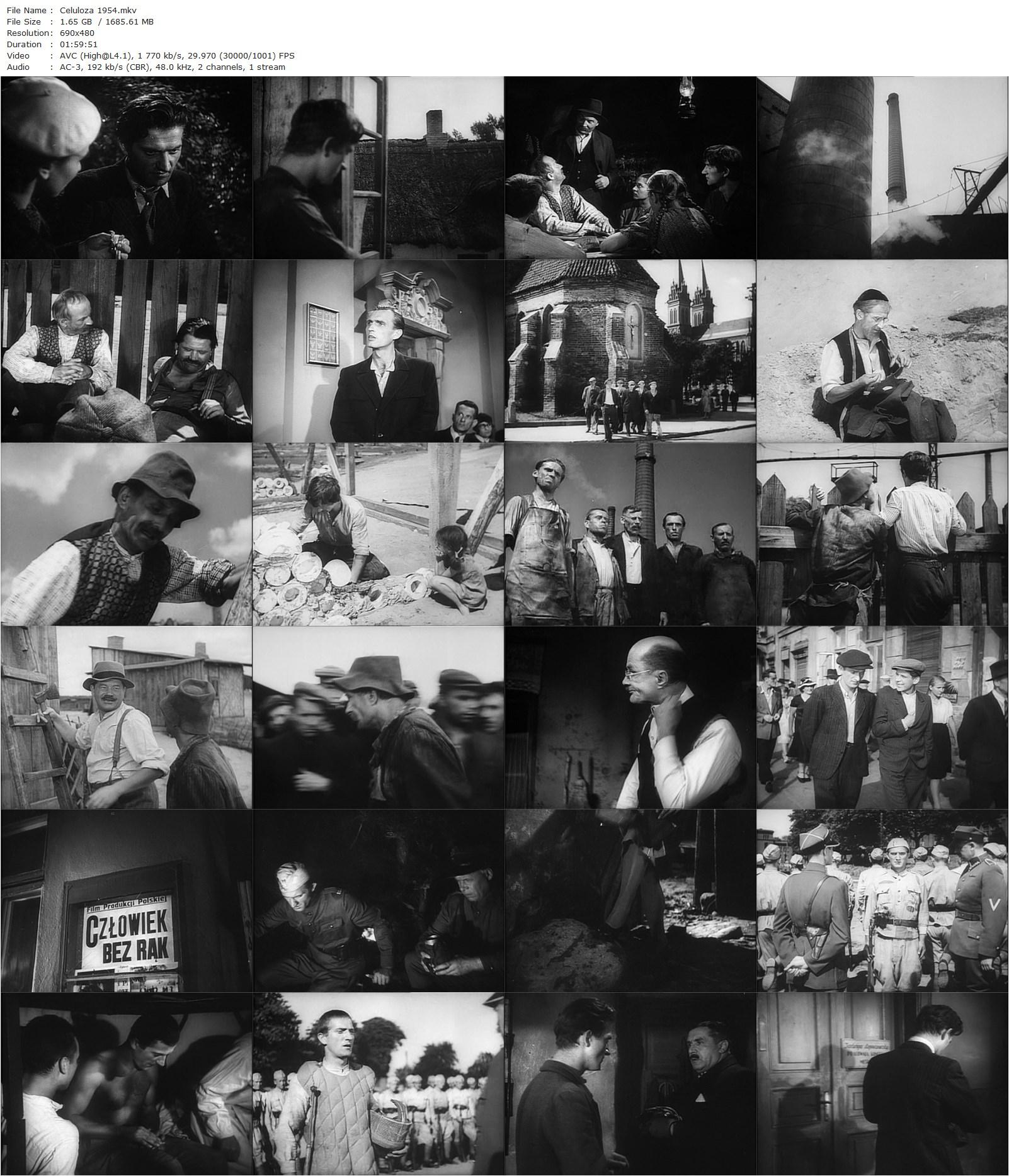 Cellulose / Celuloza (1954) Jerzy Kawalerowicz, Józef Nowak, Stanislaw Milski, Zbigniew Skowronski-poster