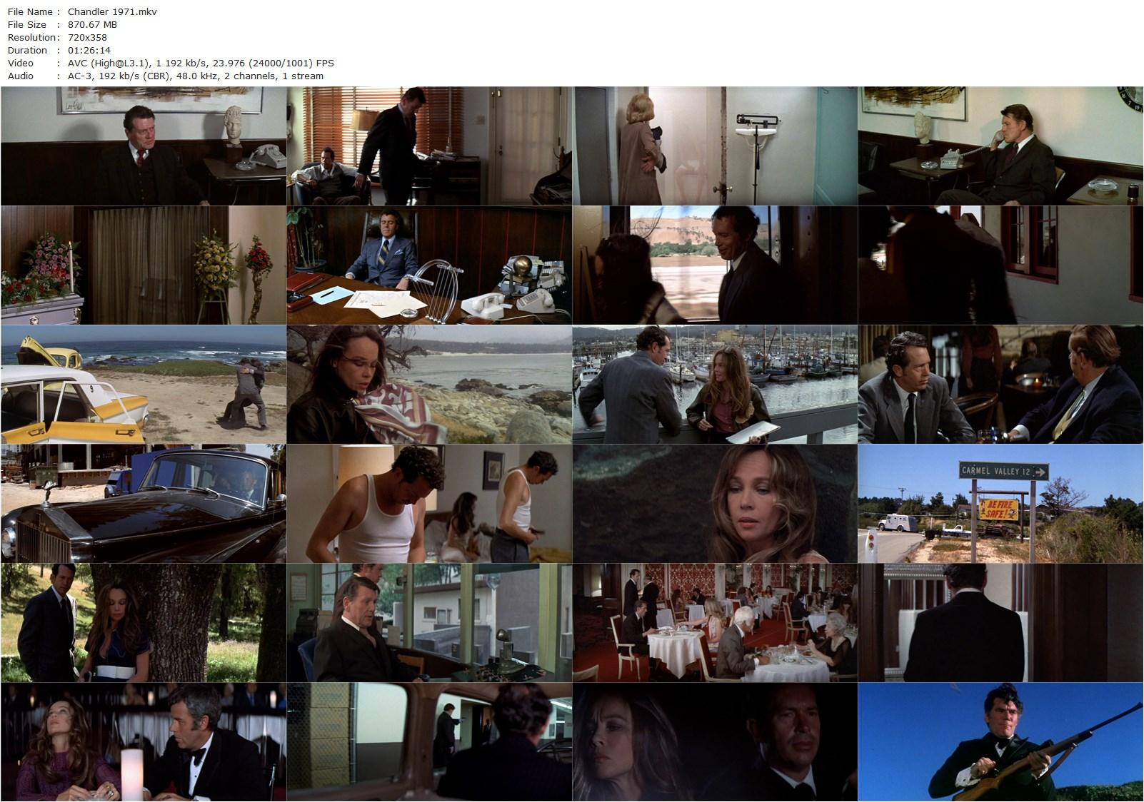 Chandler (1971) Paul Magwood, Warren Oates, Leslie Caron, Alex Dreier-poster