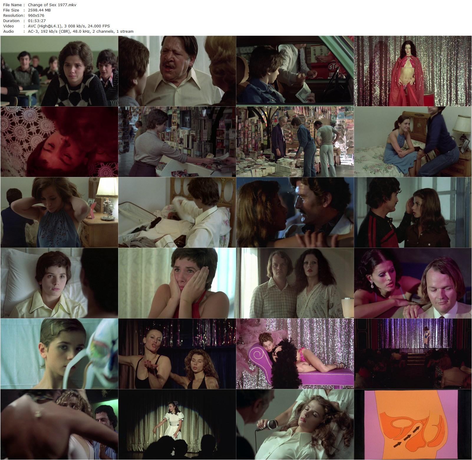 Change of Sex AKA Cambio de sexo (1977) Vicente Aranda, Victoria Abril, Lou Castel, Fernando Sancho-poster